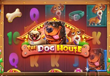 Слот The Dog House в казино Спрут